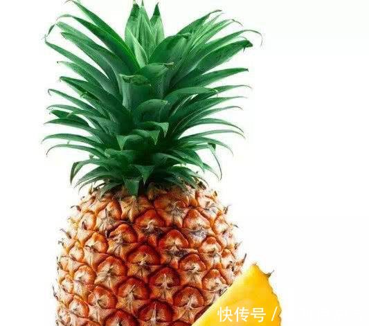  【做肥料】吃剩的菠萝和菠萝皮千万不要扔！简单两步教你做月季花肥！