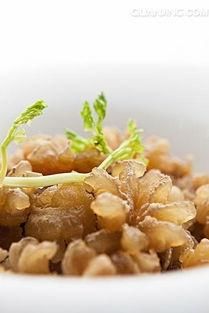 牛鞭为什么那么长 竟然有一米多长,那你知道它