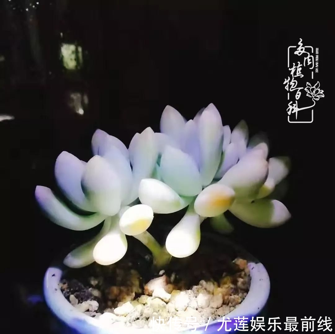 『那种』我爱的,就是你的存在!只要努力该来的都在路上!
