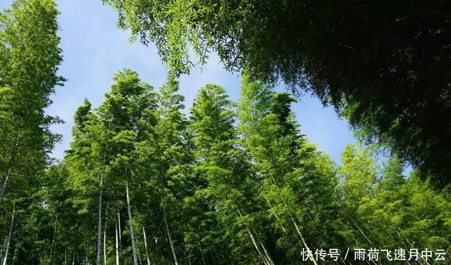 安徽旅游探秘九子岩 塔川秋色 木坑竹海 秋游新安江山水画廊3日自