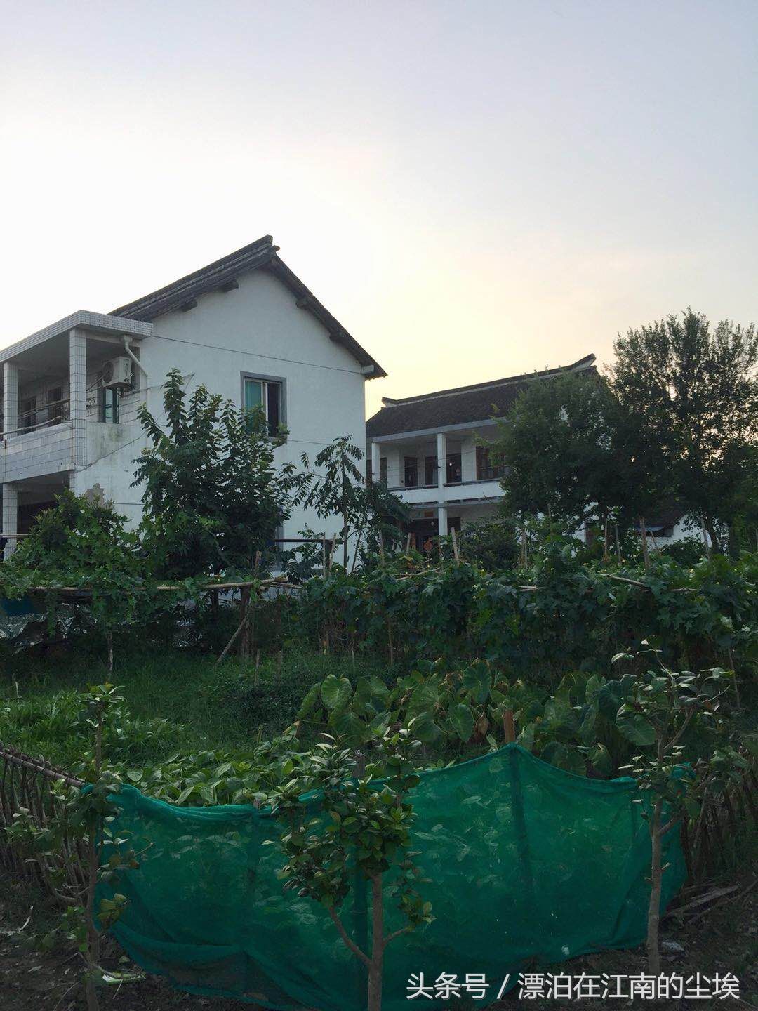 实拍昆山美丽的农村 小桥流水 夏种瓜果冬种菜