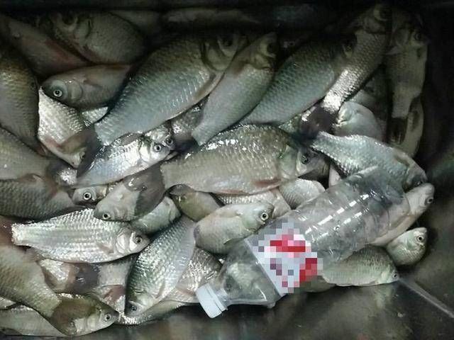  【花钱买】不想花钱买装备，就自己研究一下，我这个钓鱼装备看上去不错吧！