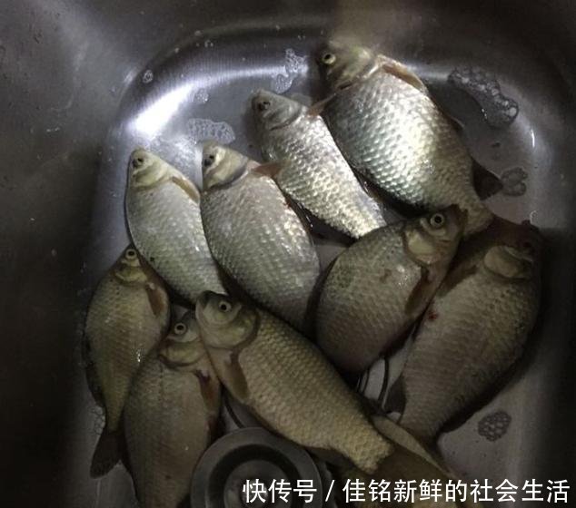  「春天」春天什么天气鱼口最好老钓友建议，选什么天气都别选大晴天