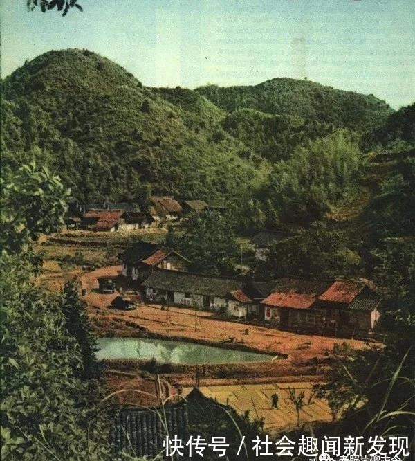 【洞庭】记录上世纪五十年代人民公社的珍贵彩