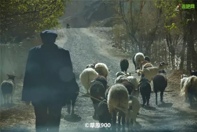 探访南疆最经典线路!欣赏美景，品味美食，原始民俗，一网打尽!