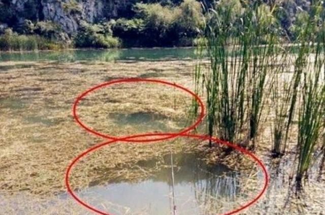 七月了，“征服”大板鲫我只用这钓法，一周四次钓不痛快，别外传