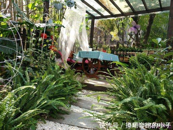  「李小姐还」她将荒芜的后院，改造成最美花园，完工一年后，让人惊艳
