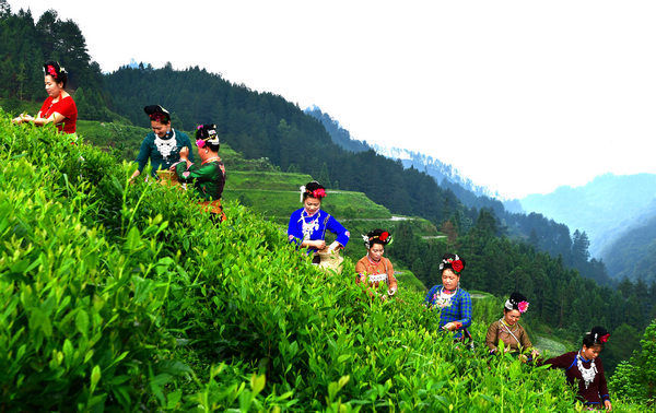 雷山开展文艺助推脱贫攻坚志愿服务采风活动