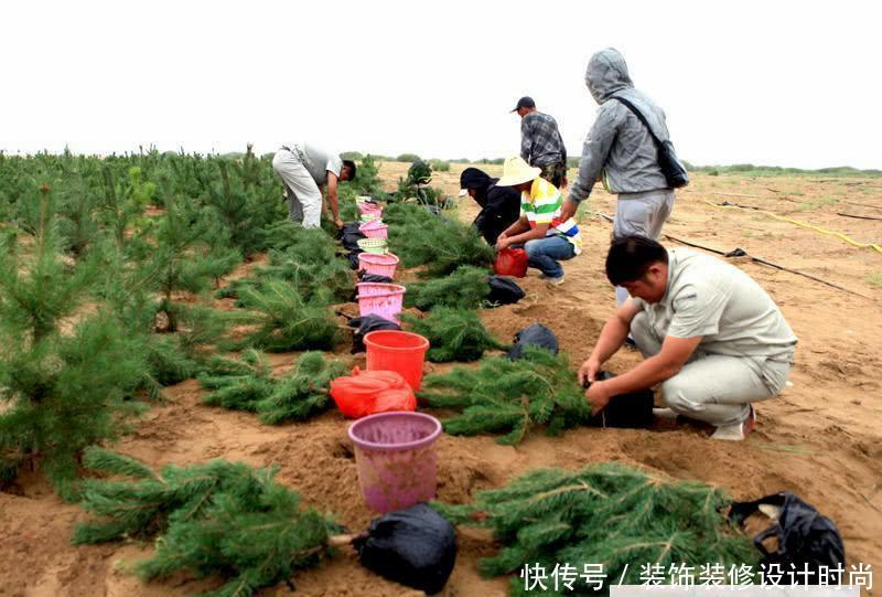 世界上唯一沙漠变绿洲的地方, 中国人再次向世界证明“奇迹”!