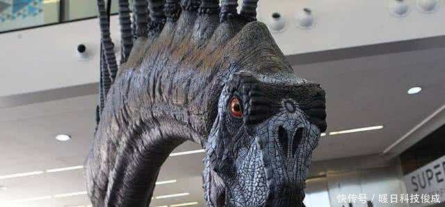 背上装着尖刺，外表十分霸气，迄今为止出土最完整的恐龙化石！