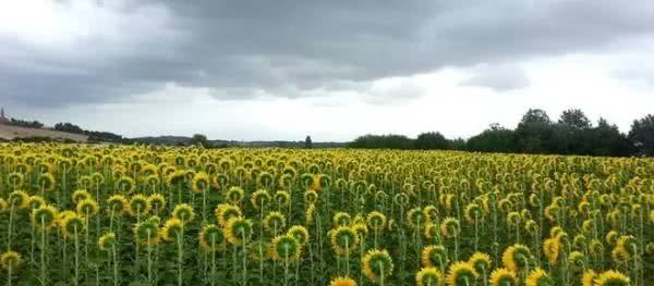 没有PS我怀疑我看了张假照片，那些年让人惊叹的真是照片