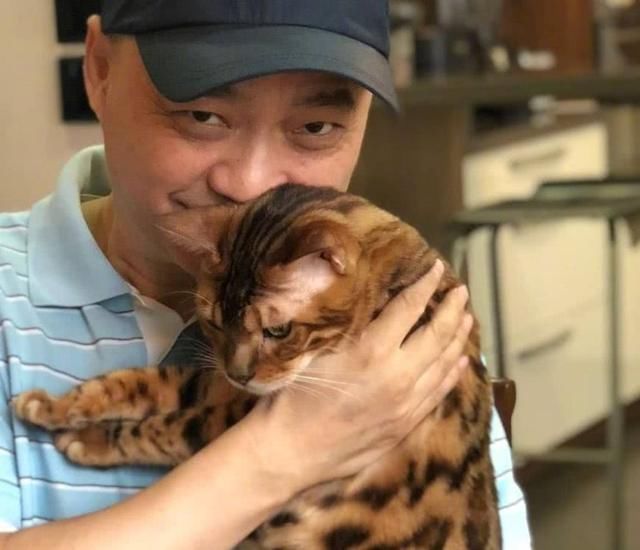 宠物猫罐子登场爆料大轰炸后，帮助铲屎官打假，网友：幸好没上当