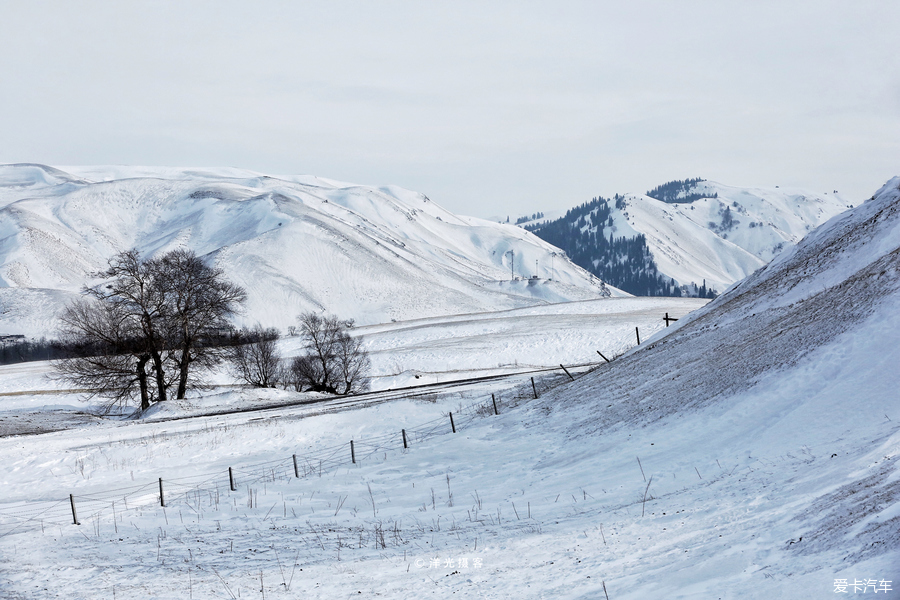 冬季新疆那拉提玩雪全攻略,水墨雪域画中游