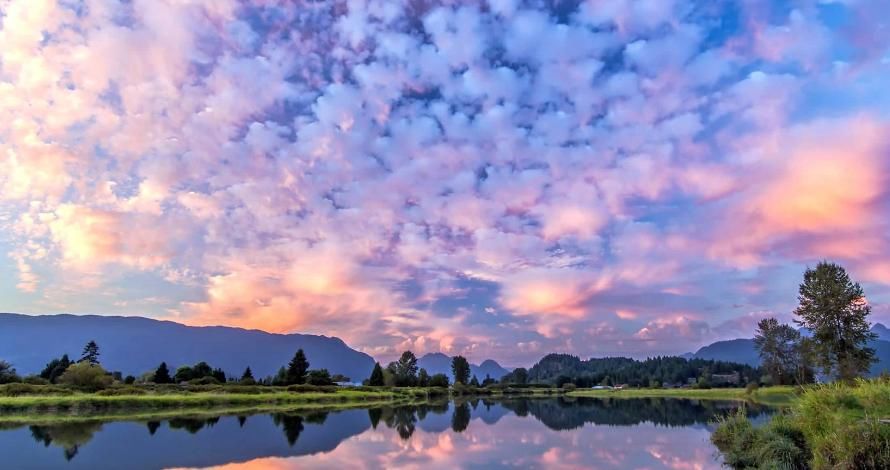 我们出国旅游，跟团旅游划算，还是自己旅游划算？为什么呢？