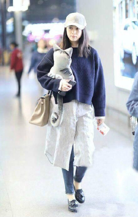 陈乔恩带活物现身机场,网友:你不柔弱了?