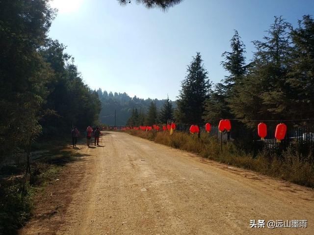 随走昆明金殿后山，穿行在云南自然森林中心的惬意体验