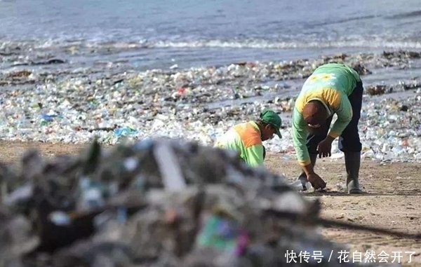 中国游客“如愿”减少，垃圾依然遍地都是，这回谁背锅？