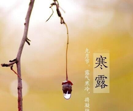 寒露节气，秋意正浓