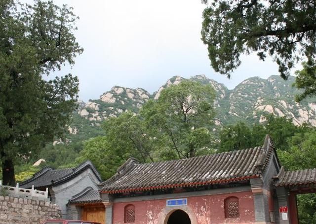 我国的“高学历”寺庙，方丈会10国语言，本科学历都很少见