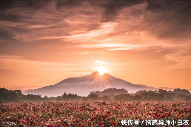 做个俗人,一身正气,不谈亏欠,不负遇见