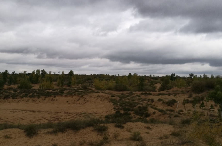 全球第一个被中国人征服的沙漠，如今农田遍布，有些农民月入过万