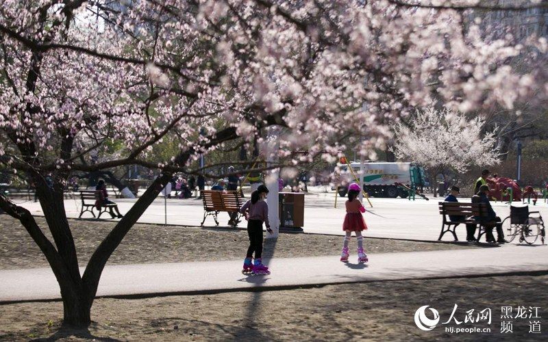  告别@【组图】哈尔滨告别“假日”雨雪天气 5月6日最高气温将再次回到20℃