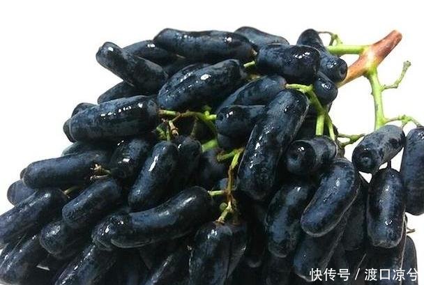 “再见了”水稻，我国又一新品农作物！亩产三千斤，比养猪值！