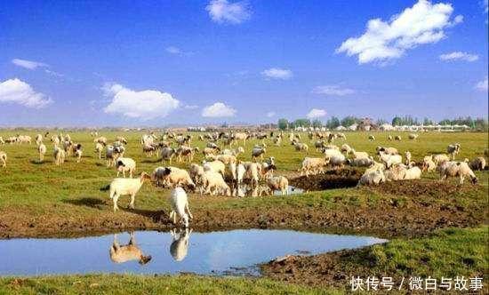 内蒙古最发达的5个城市,第5呼和浩特,第1鄂尔多斯