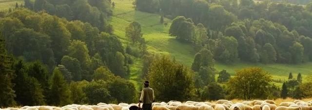  #补贴#2019粮食补贴标准出炉？两类人标准提高、三类农民不再有