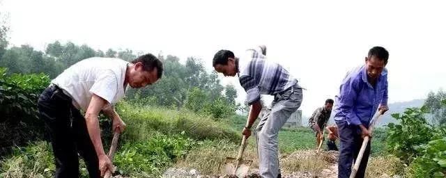 要在农村干10件大事，农民要乐开花了