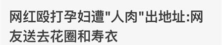 殴打孕妇的网红别嚣张！这届网友有1万种方法来治你