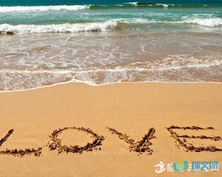 关于红豆相思的诗句