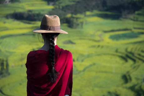 中国这些地方即将花开成海！错过又再等一年！诗情画意值得记忆！