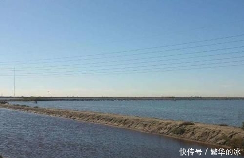  [中国]中国沙漠种树，以色列沙漠建鱼塘，年产1700吨，吃不完还