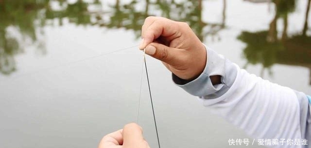浅水:浅水钓鲫鱼,为啥容易跑鱼?因为这5个地方你搞错了