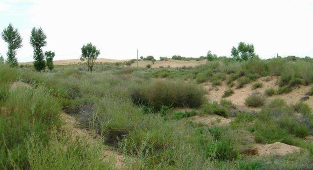 地球上第一个沙漠即将被中国消灭，如果奇迹有国度：一定是在中国