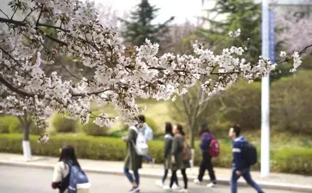3月最佳旅行地榜单:十大绝美仙境，春暖花开美到窒息!