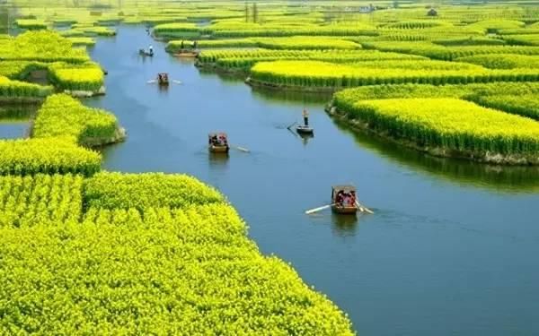 最江南的花海：惊艳不输婺源，情调不输威尼斯