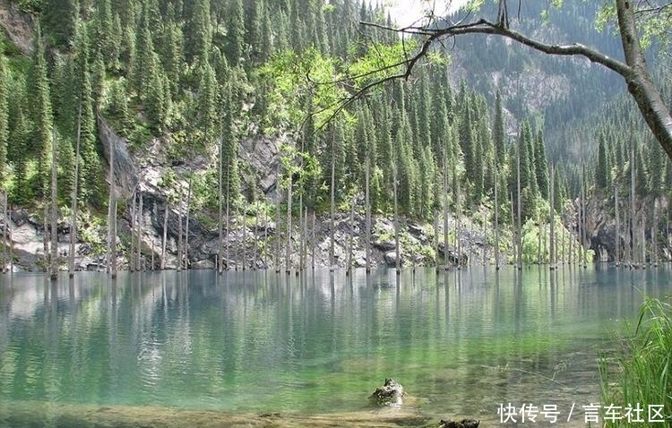 哈萨克斯坦的湖泊水下森林似仙境般美丽