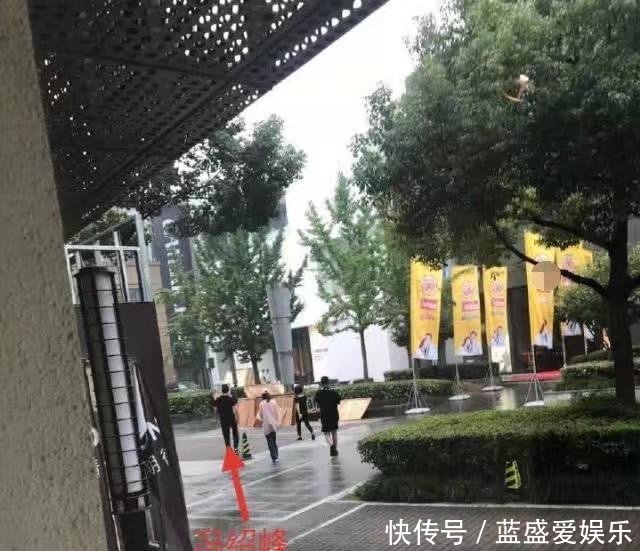 兔子急了也咬人! 赵丽颖为冯绍峰再次否认, 却在着手装修爱巢