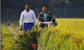 农村政策出新规，满足这些条件，这5类人可以将户口转回农村