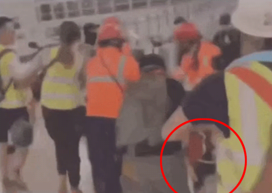 央视：在中国香港拿美国国旗追打同胞 岂有此理！