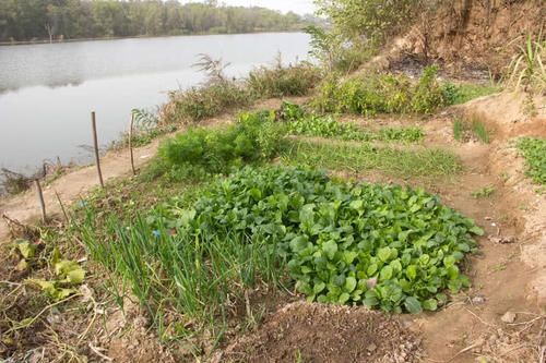  [村民]北方降雨量少却有个水上村，村民开荒种菜，掘地一尺浇水