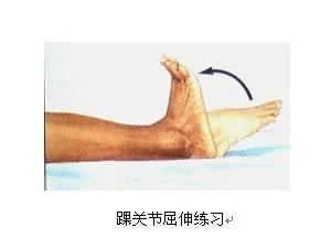 你的血管堵不堵?摸脚背可自测! - 山野村夫 - 自由人.山野村夫 你的血管堵不堵?摸脚背可自测! - 山野村夫 - 自由人.山野村夫