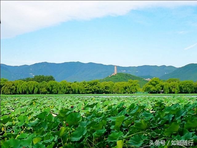 颐和园西堤~初秋时节宁静致远 岁月静好