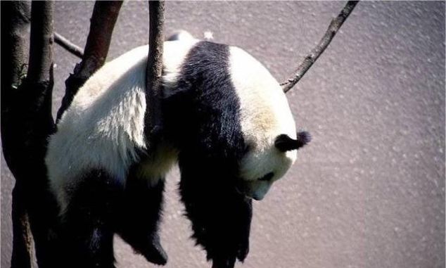  [出租车]春节期间顺丰、申通不停运，但是这些都得涨