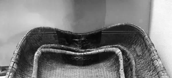  #牲口#消失农村老物件，你还记得多少，里面一定有几件让你泪目