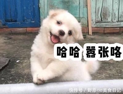  【重样】4款百元懒人卷发工具，一星期发型不重样！