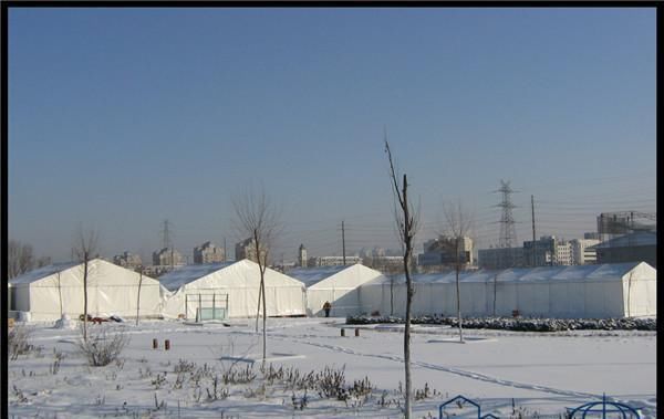  [养猪场]新型养猪场问世，施工太快，现在建都能赶上好行情