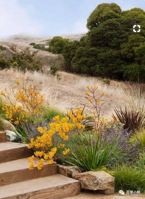 择一处小院，活一世风景！